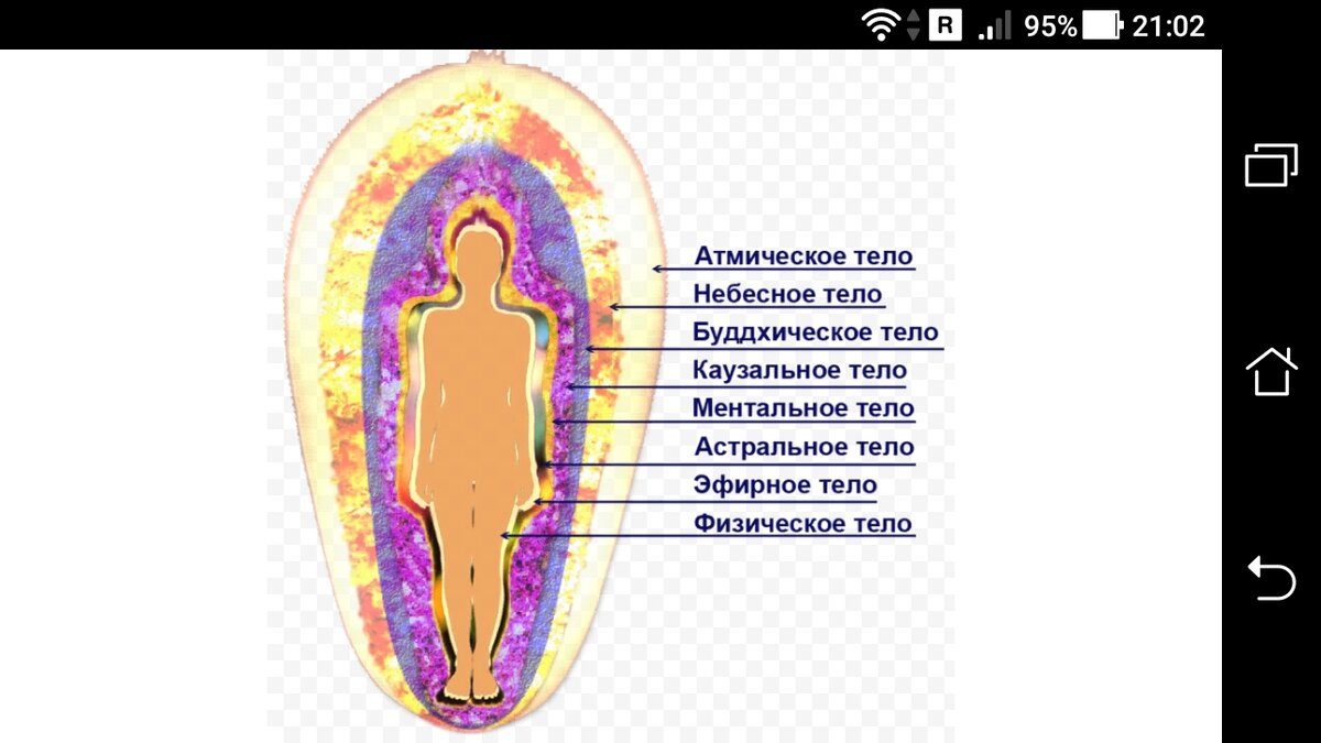 Тонкий план человека это