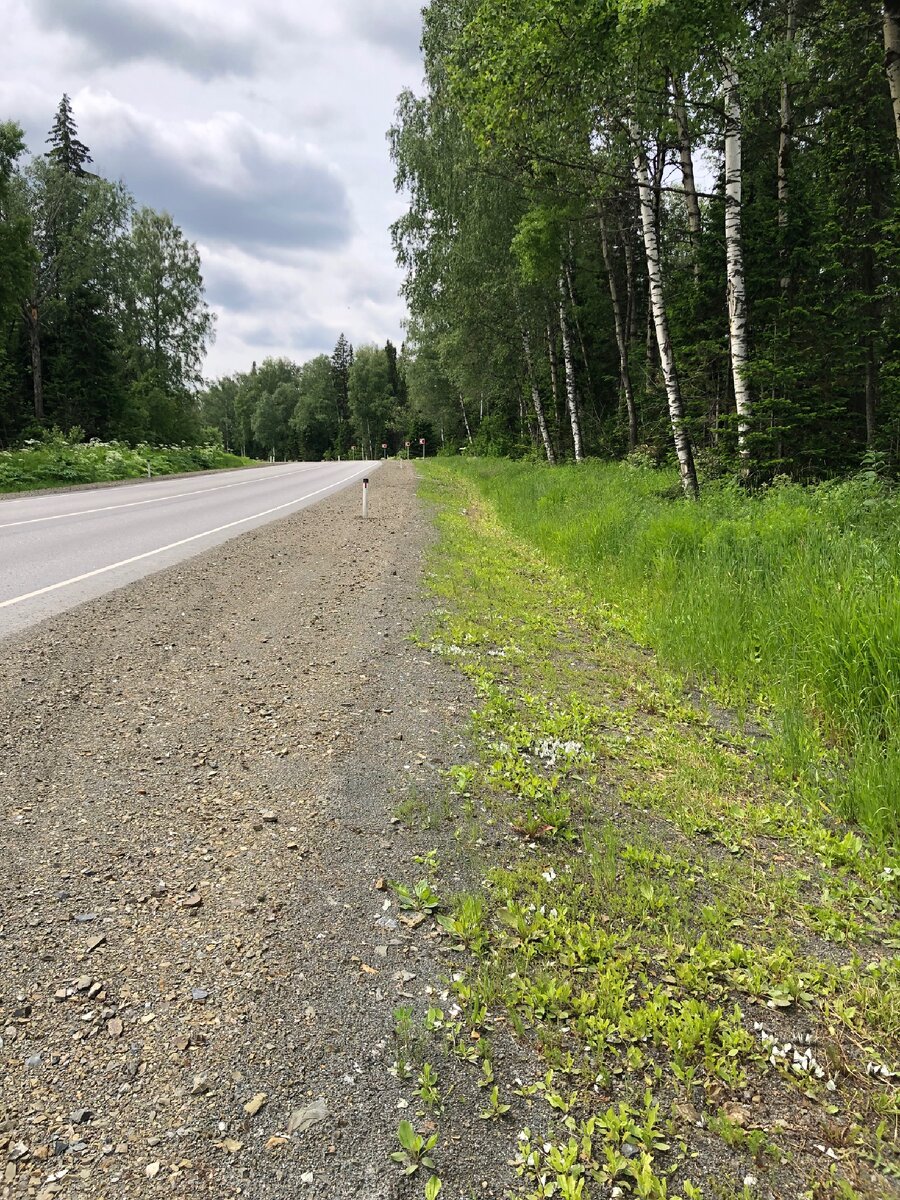 Дорога в Краснодар