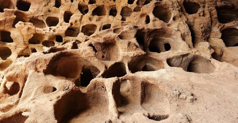  Изображение предоставлено Wikimedia Commons.