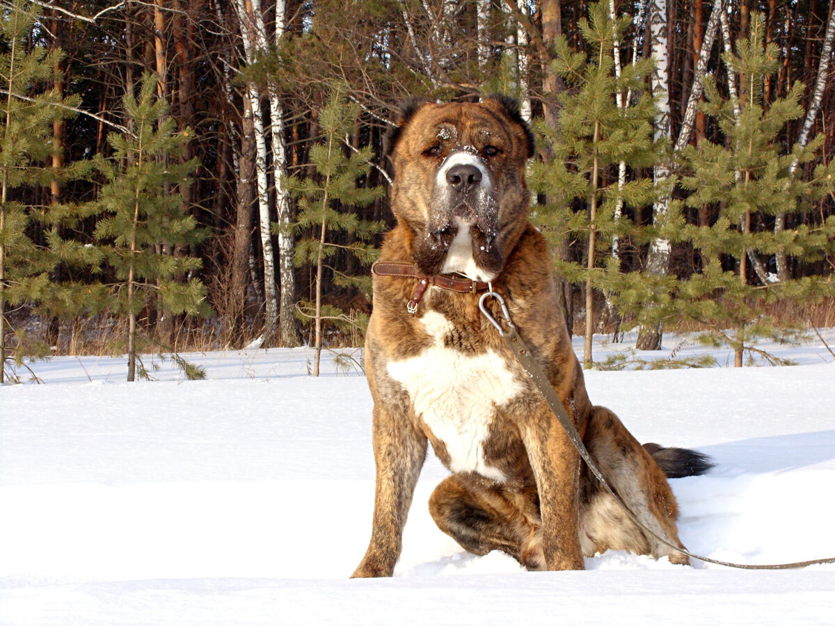 Здесь и далее фото автора