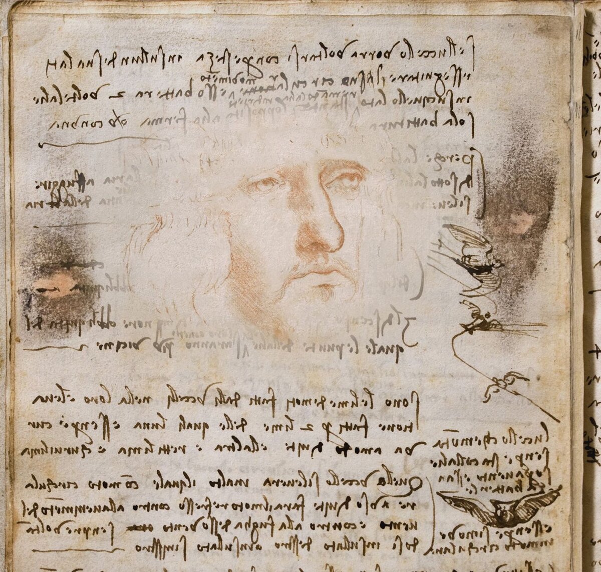 Self-portrait on the Flight of Birds Codex. Leonardo da Vinci, c.1485. Общественное достояние.
