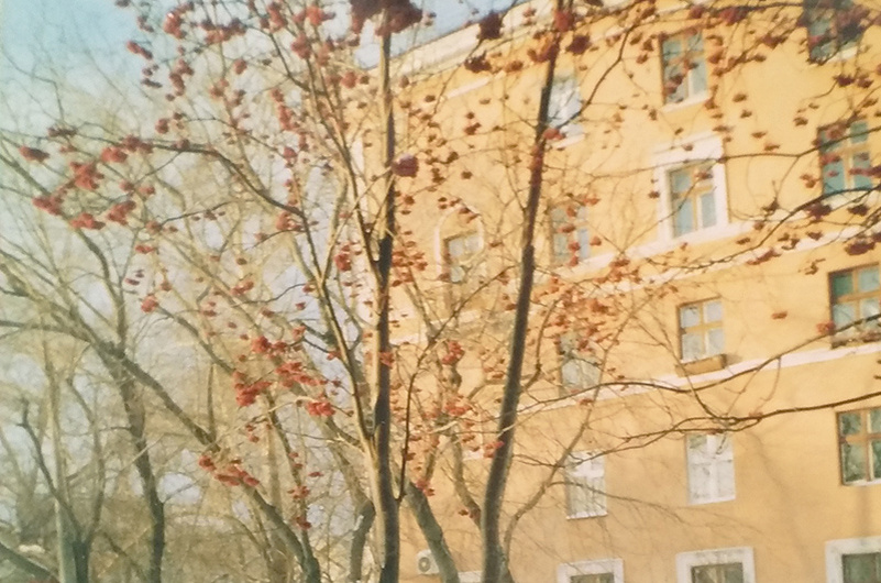 Фото своё
