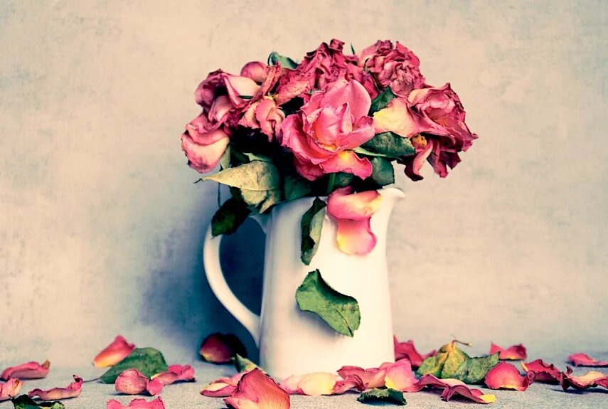 Фото: pixabay.com