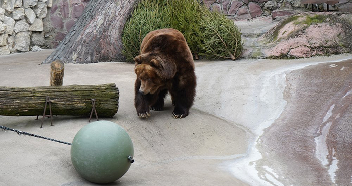 Фото: Агентство «Москва»