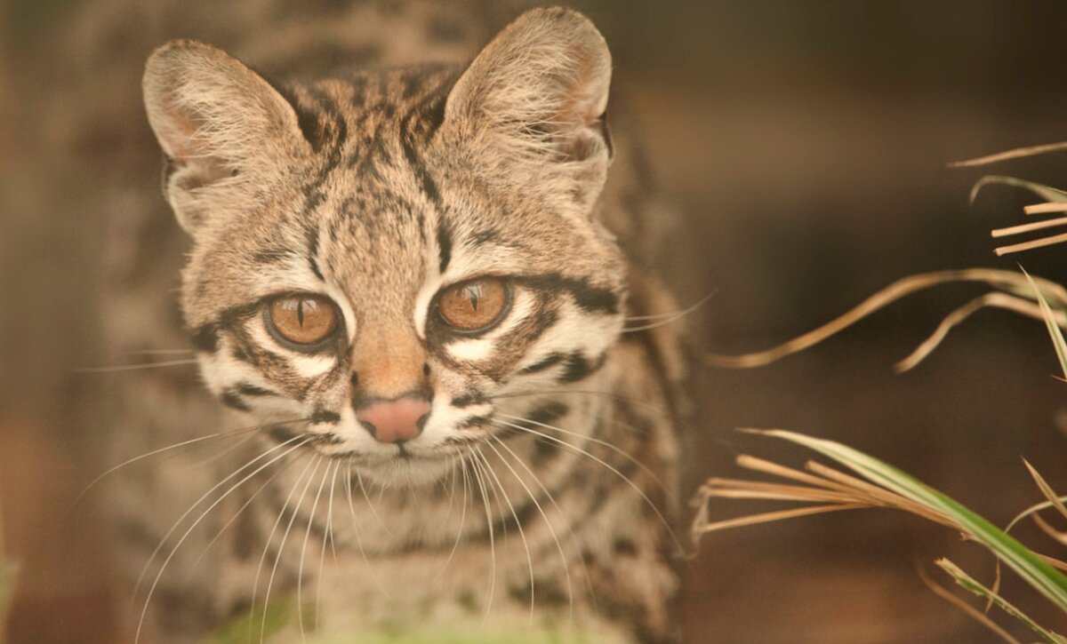 Источник - flickr.com