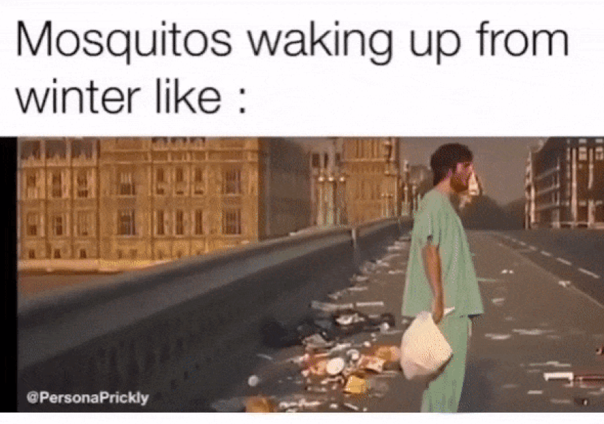 Источник: instagram