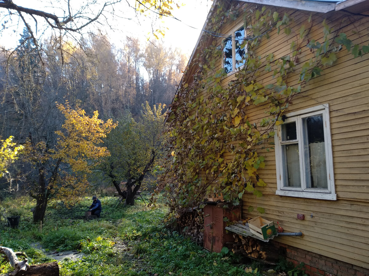 Четыре советские дачи нашей семьи | Home and garden | Дзен