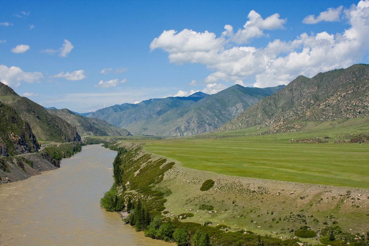 Река Иня горный Алтай