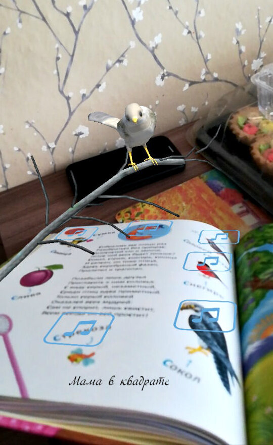 Как смотрятся изображения через приложение.