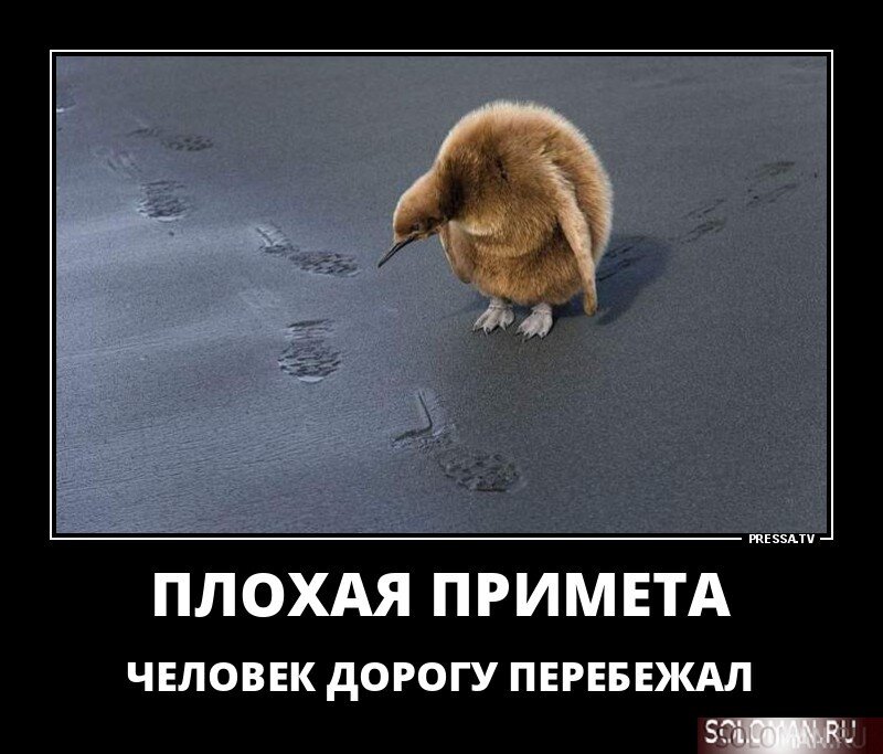 Яндекс.Картинки