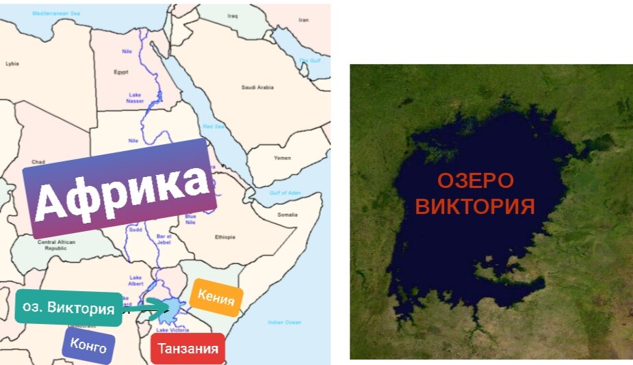Виктория река на карте