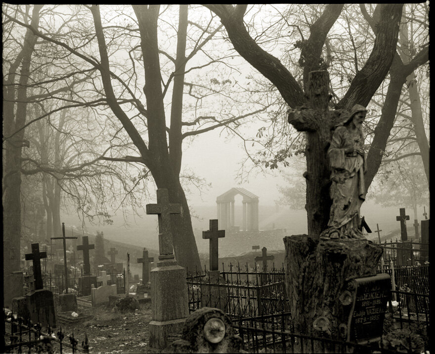 фото из свободных источников.