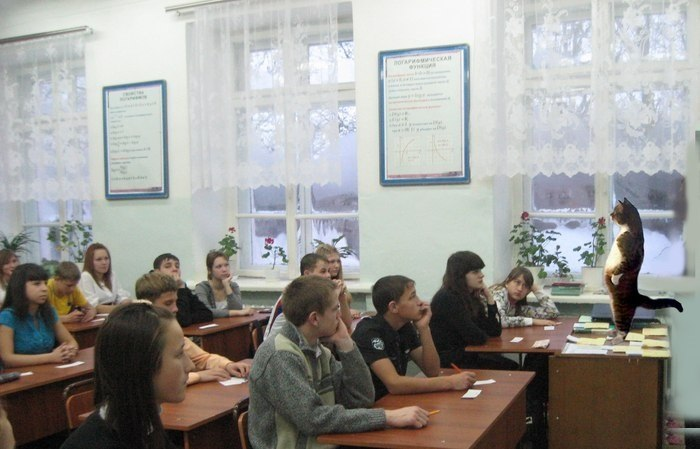 Фото из открытых источников yandex.ru.