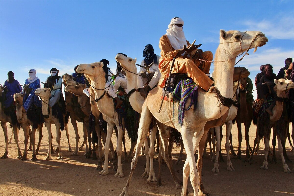 Племена туарегов в африке фото
