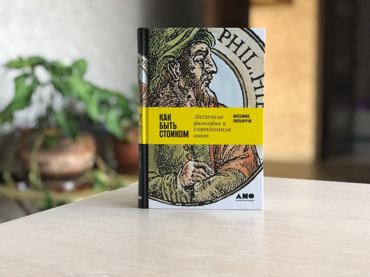 Массимо пильюччи стоицизм. Массимо пильюччи как быть стоиком. Античная философия и современная жизнь. Массимо пильюччи книги. Массимо пильюччи книги.