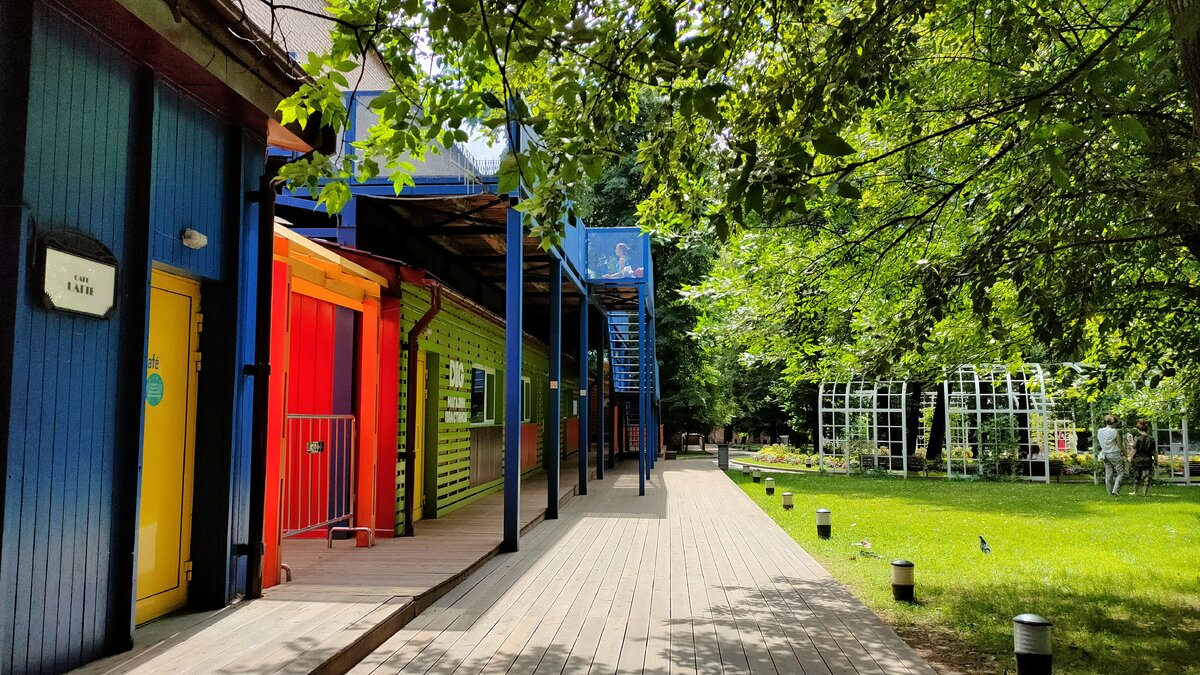 Фото на основную камеру Realme X3 SuperZoom