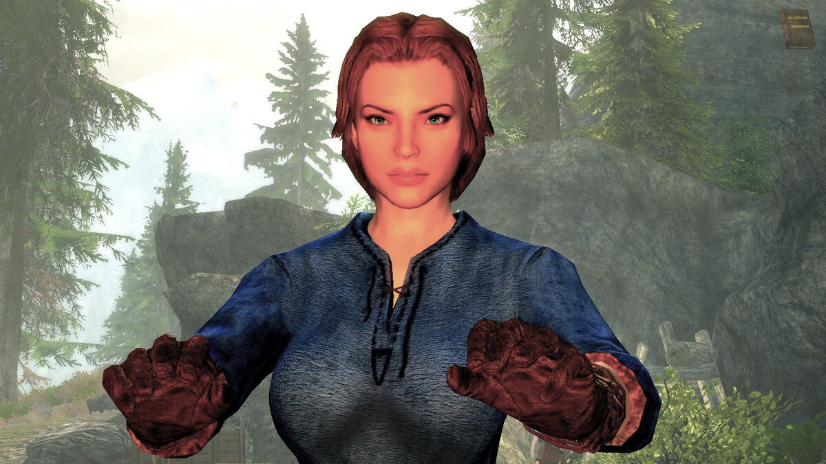 скрин из игры