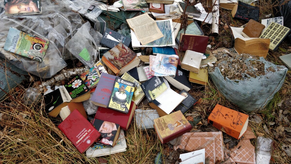 Находки с мусорки свалки. Игрушки на помойке. Дорогие вещи на помойке. Айфон в помойке. Что находят на мусорках.