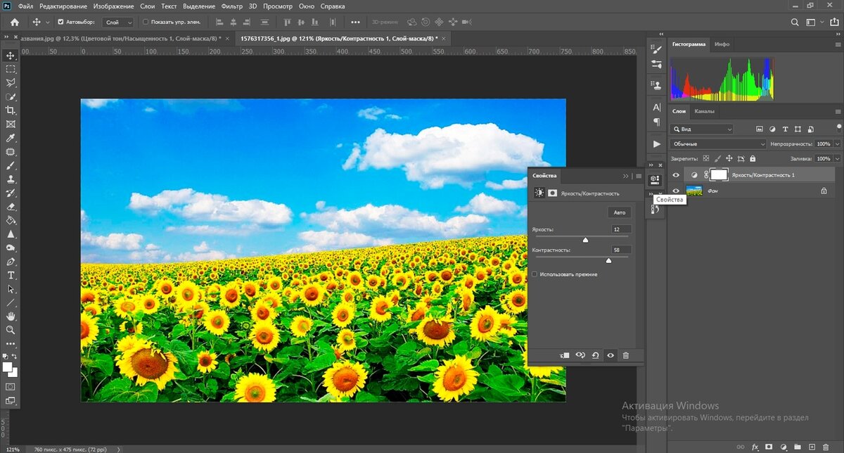 Инструменты цветокоррекции в Photoshop для ретуши фотографий. / Skillbox Media