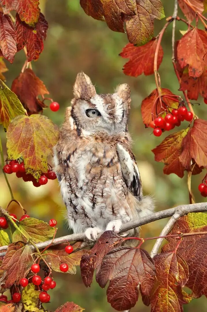 (Фото из интернета) 