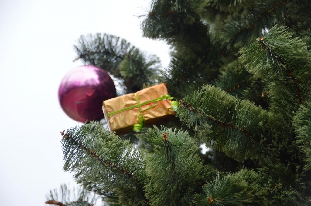 В Твери украшают город к Новому году. Первую ёлку уже поставили в парке Победы