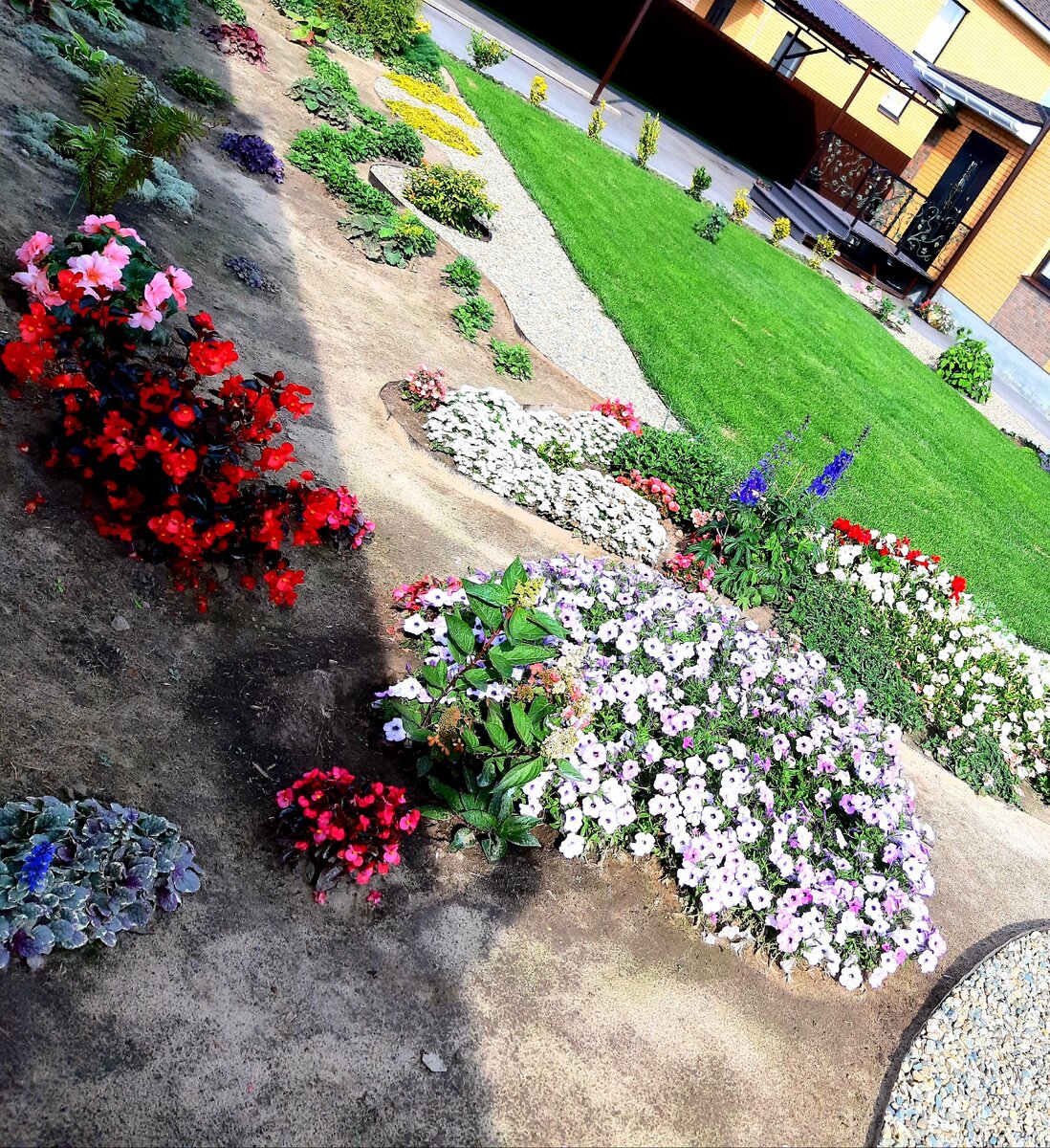 Моя лужайка из готовой рулонной травы