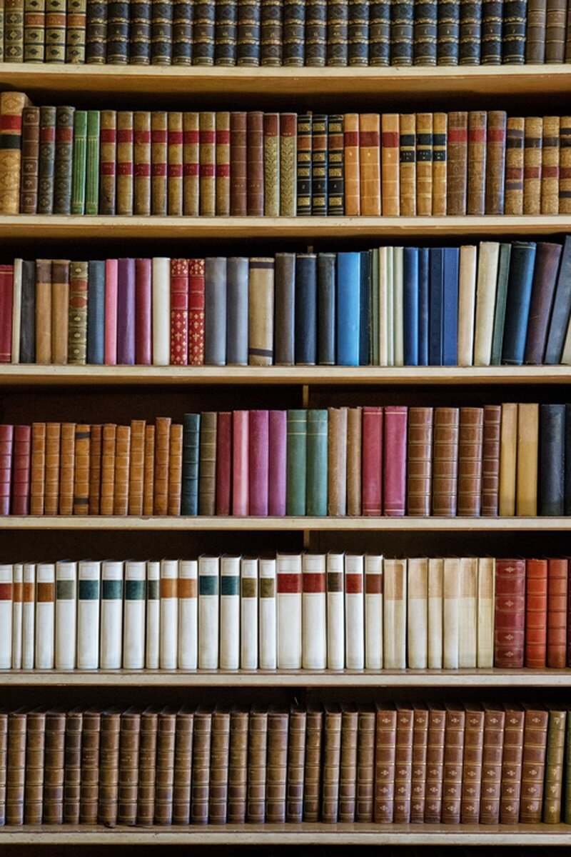 1. Дэн Ариели "Предсказуемая иррациональность"⠀
В книге рассматривается человеческое поведение и потребительские привычки.⠀ 

2. Стив Бланк "Четыре шага к озарению"⠀
Книга Бланка спровоцировала целое течение "Теории стартапа", которое утверждает, что первоначально необходимо продвинуться на рынок как можно быстрее, вместо того чтобы разрабатывать финальную версию продукта перед его выпуском.⠀ 

3. Дэвид Борнштейн "Как изменить мир"⠀
Борнштейн в своей книге описывает ряд "социальных" предпринимателей, и его наблюдения показывают, что бизнесмен может преуспеть, если он обуреваем желанием активно изменять мир.⠀ 

4. Джозеф Бауэр "От размещения ресурсов к стратегии"⠀
Бауэр предлагает комплексный подход к организации работы⠀ 

5. Ричард Брэнсон "Теряя невинность. Как я выжил, повеселился и заработал состояние, делая бизнес по-своему"⠀ 

6. Дейл Карнеги "Как завоевывать друзей и оказывать влияние на людей"Эта книга из области "Помоги себе сам".⠀ 

7. Рич Кристиансен "Принцип зигзага"⠀
Книга рассказывает о необходимости игнорировать голоса, которые говорят о необходимости нестись на полном пару напролом к цели.⠀ 

8. Клейтон Кристенсен "Дилемма инноватора"⠀
Стив Джобс, как писал составитель его биографии, был под большим влиянием произведений Клейтона Кристенсена.⠀ 

9. Джим Коллинз "От хорошего к великому"⠀
Эта книга является продолжением "Построенных навечно". Она определяет компании с наилучшими показателями деятельности и рассказывает о характерных чертах их директоров.⠀ 

10. Уильям Дрейпер "Стартапы. Профессиональные игры Кремниевой долины Дрейпер исследует историю венчурного капитала и культуру Кремниевой (Силиконовой) долины.⠀