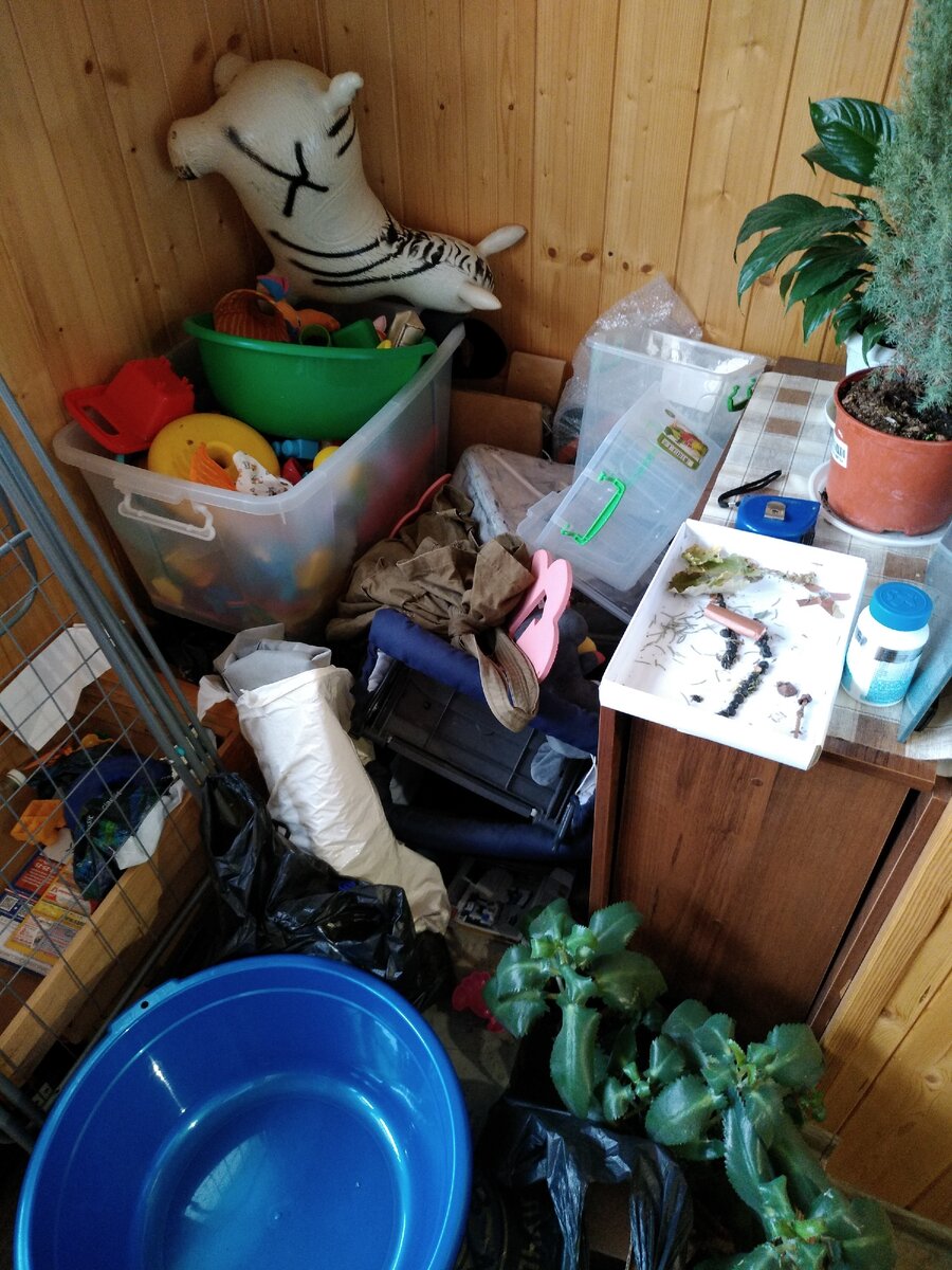 Часть нашего балкона🤦‍♀. Причем хлама на выброс было немного. В основном это всё неубранные в свое время на место вещи. 