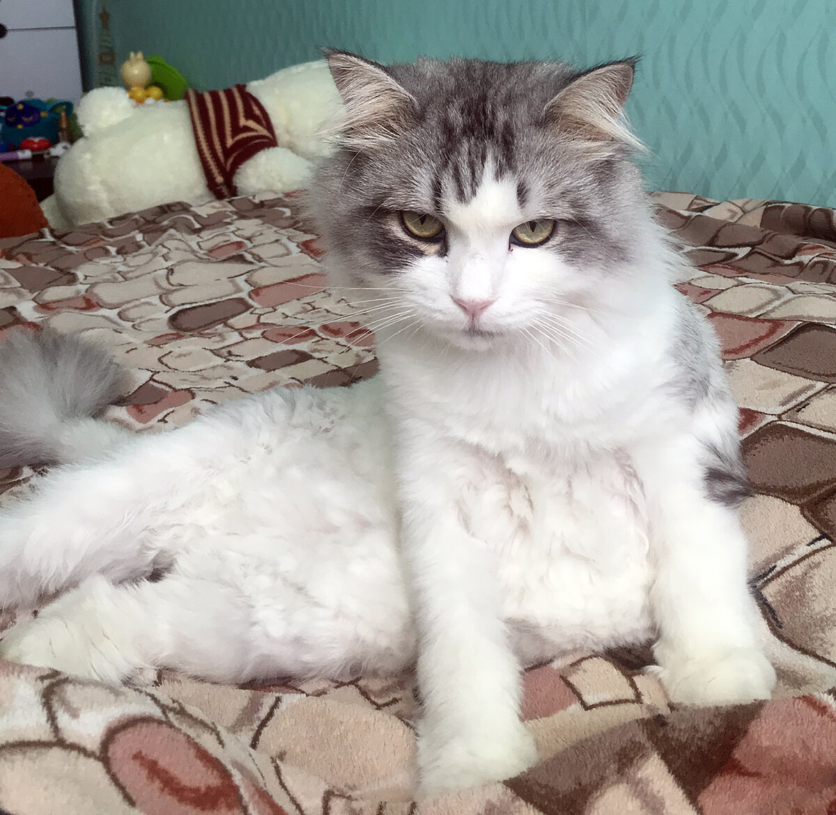 Приблизительно так он и смотрит)