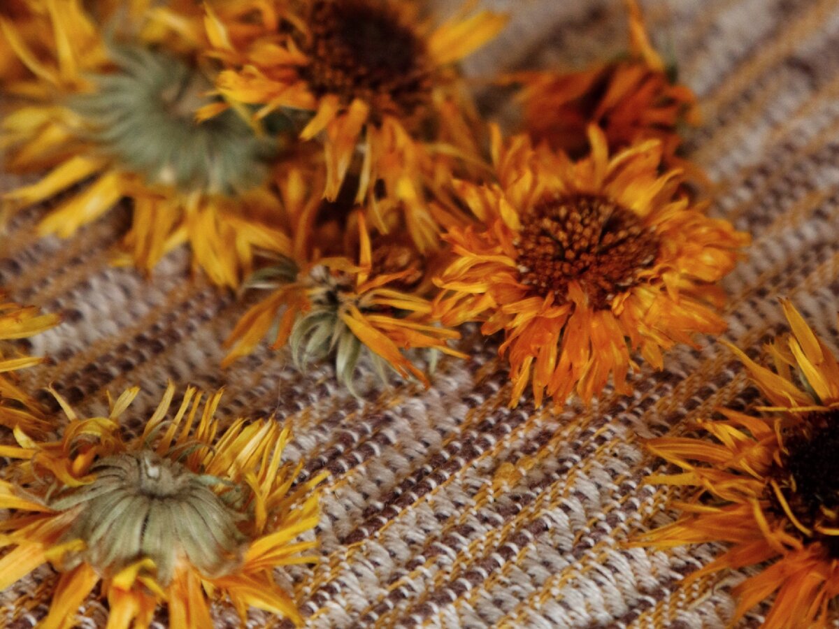 Сухое сырьё 