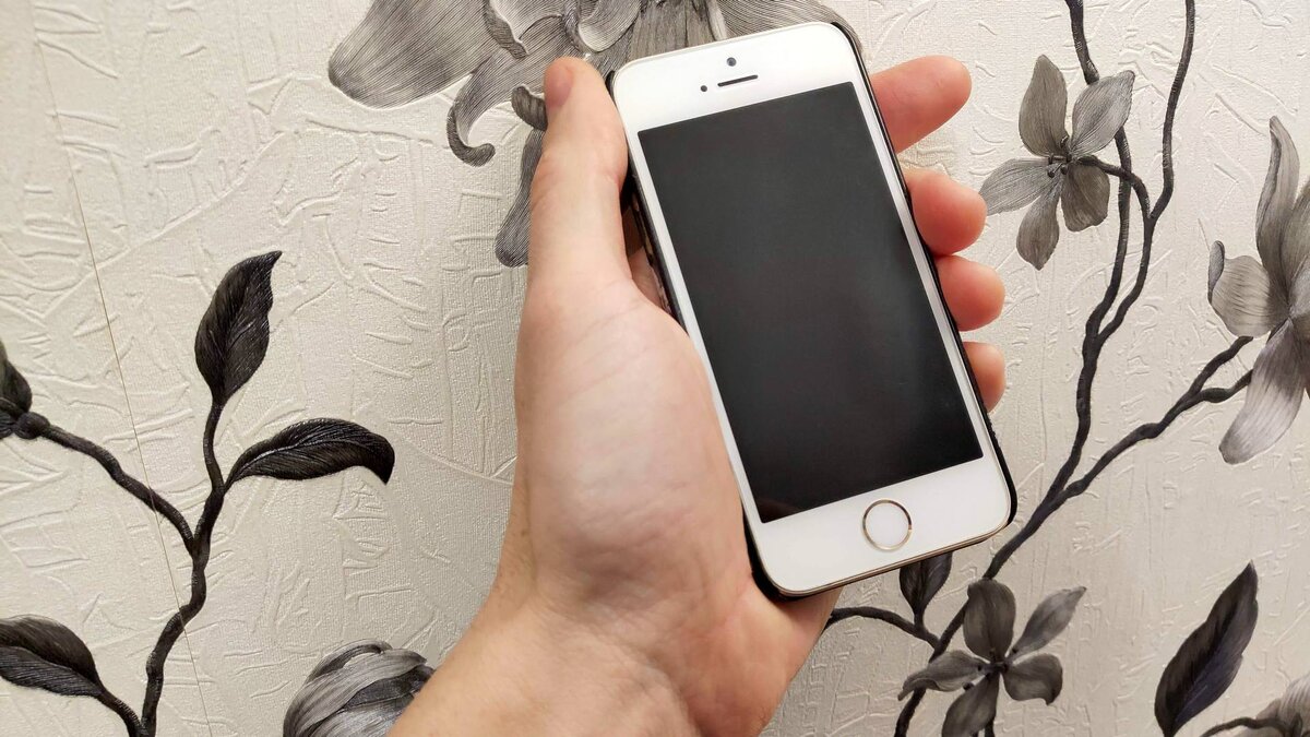 Это старенький iPhone моей жены