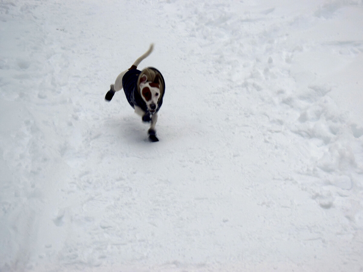 Как же не бежать, если там ждут!