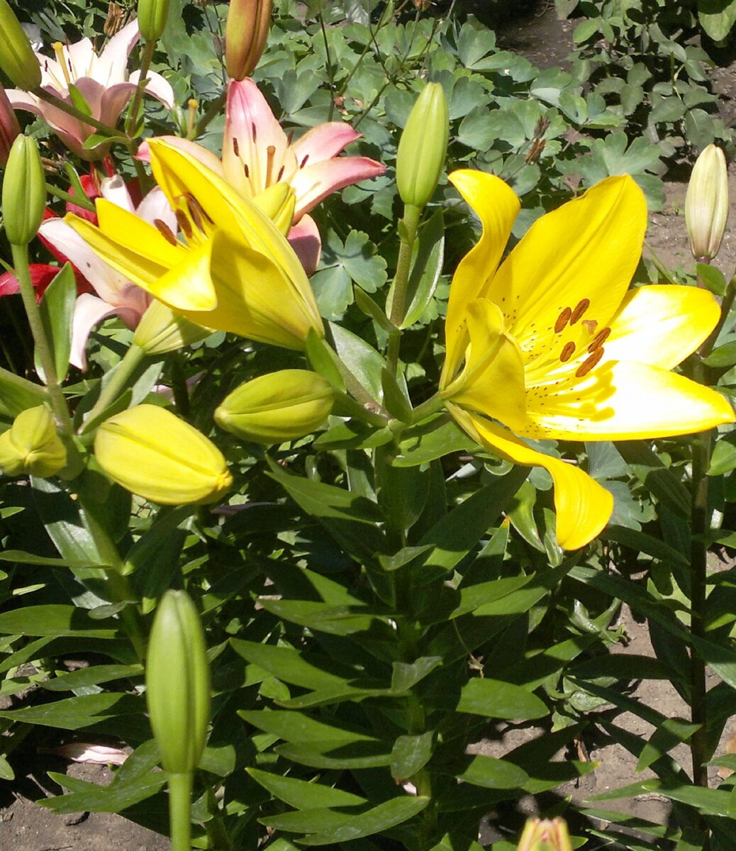 Фото из архива автора статьи