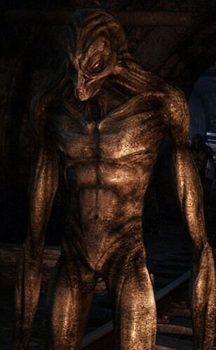 "Черный" из Metro 2033