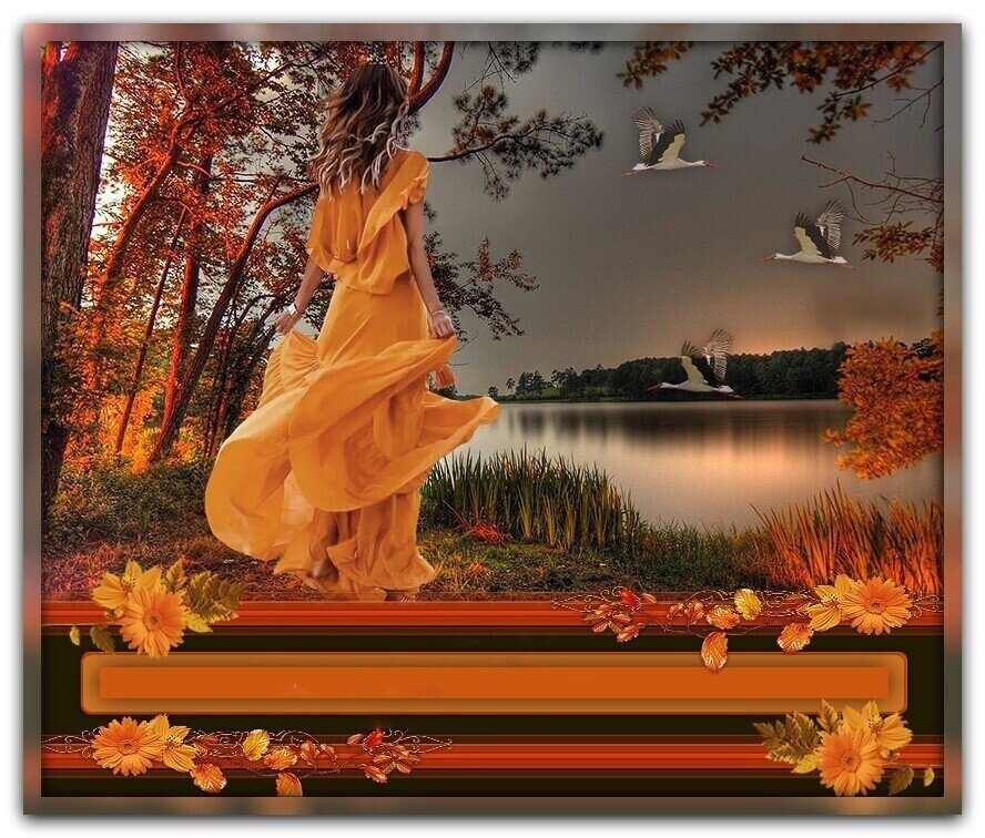 Сказочная ночь. Добрые существа из сказок. Мы в ответе за тех кого приручили кто сказал. Сказочные мечты. Жизнь чем то похожа на шведский стол кто то берет от нее сколько хочет.