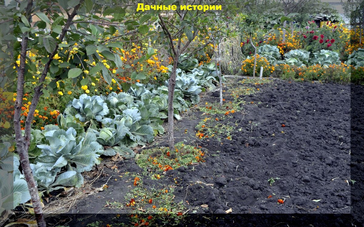 https://vk.com/photo-159774511_457249070