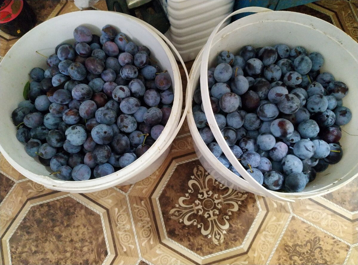 А сладкая! Мёд чистый!