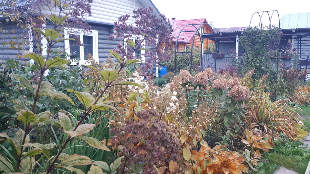 Подписывайтесь на мой канал!