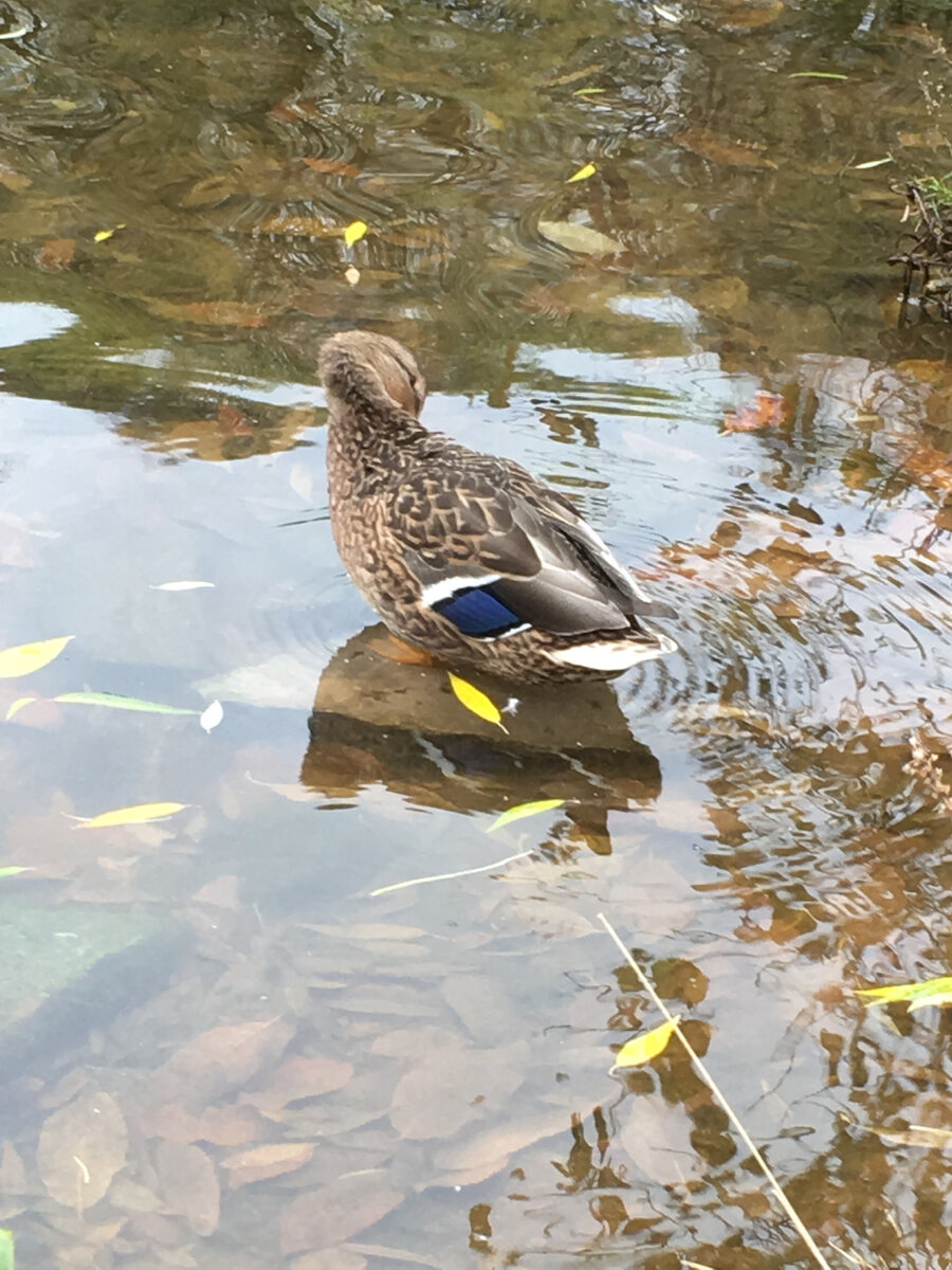 #любовь и отношения #свиданье #счастье есть #истории из жизни #рассказ из жизни 