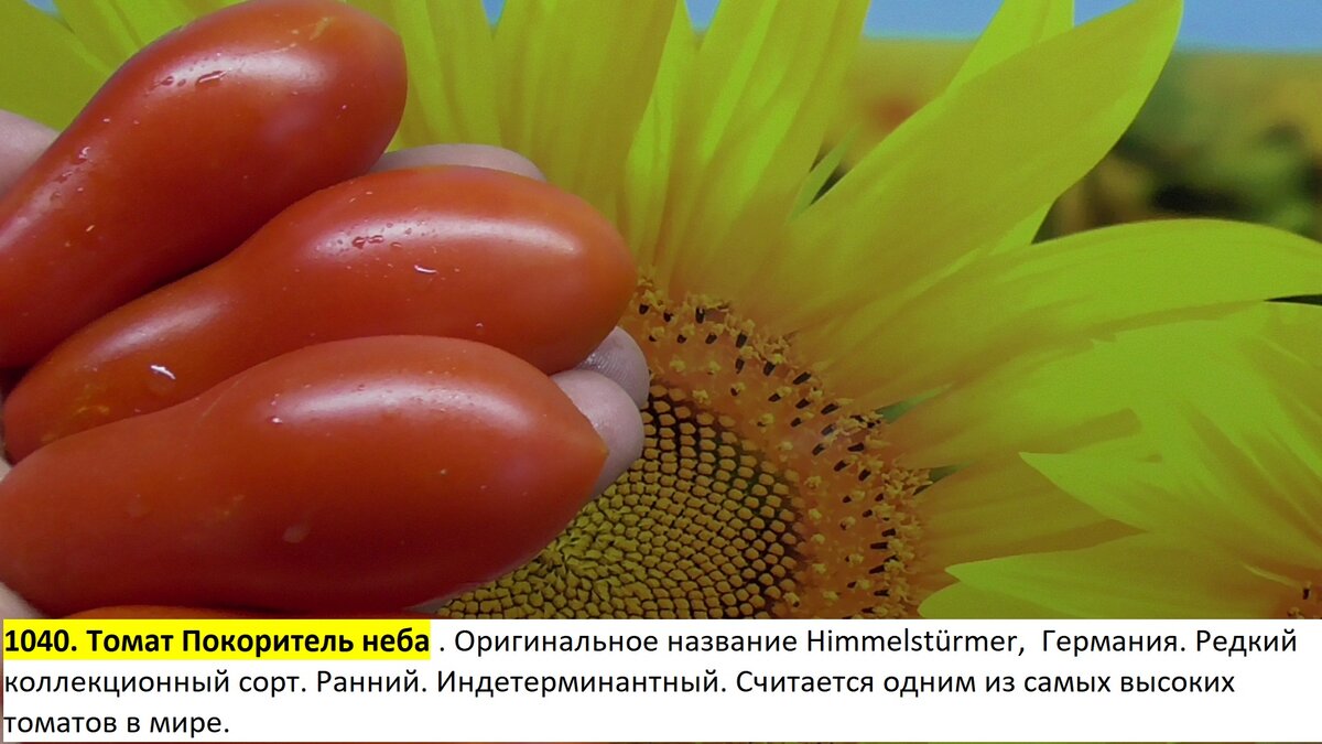 -183