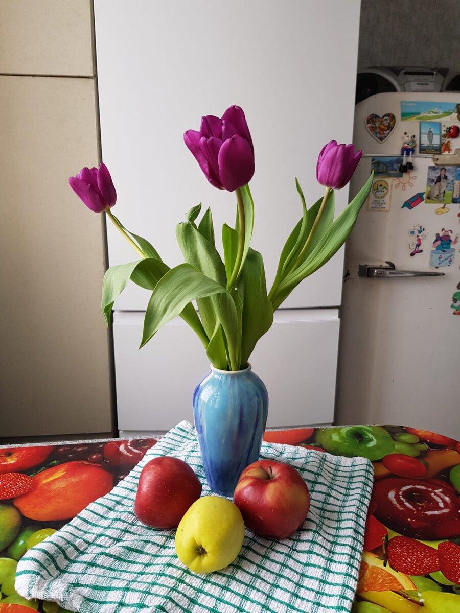 Фото для натюрморта 