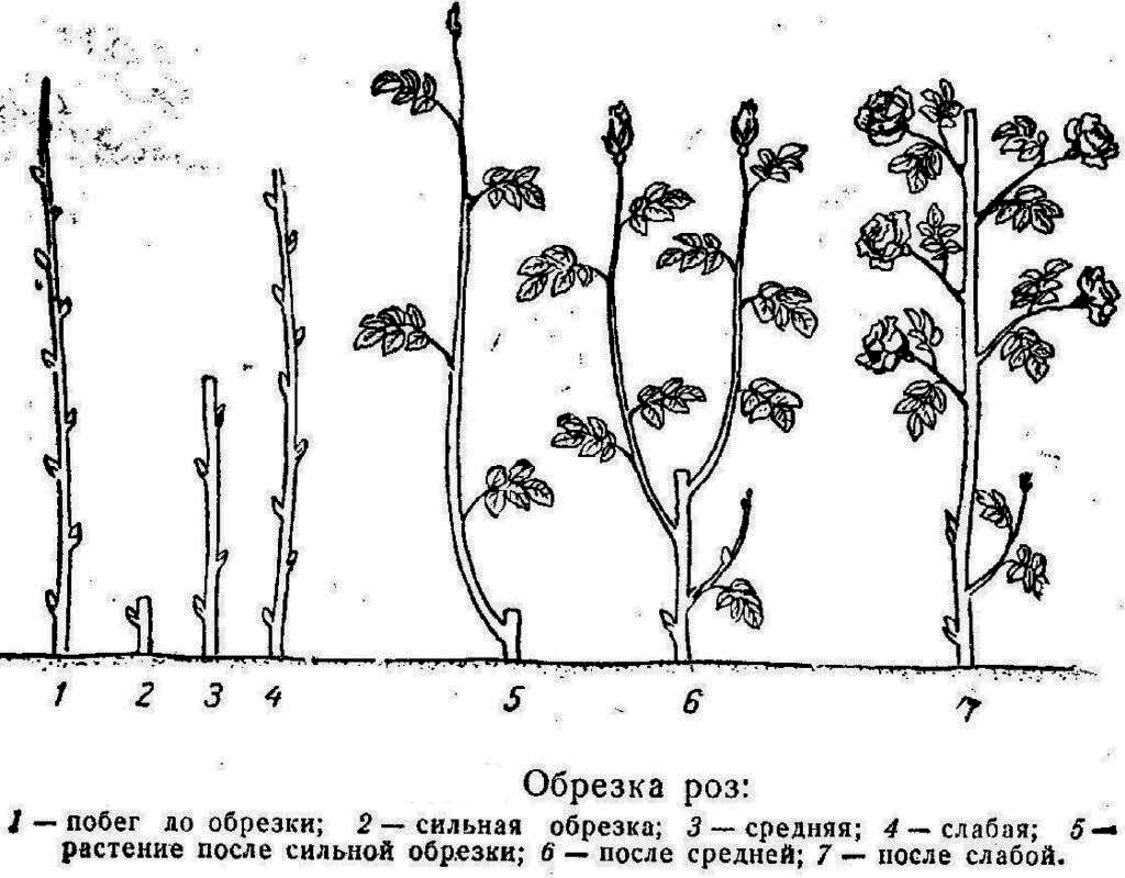 Неплохое объяснение, нашла в интернете