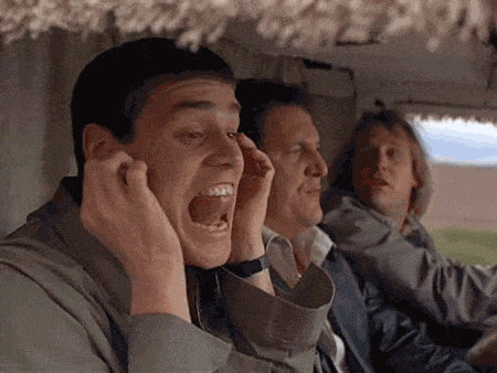    © Тупой и ещё тупее / Dumb and Dumber 1994