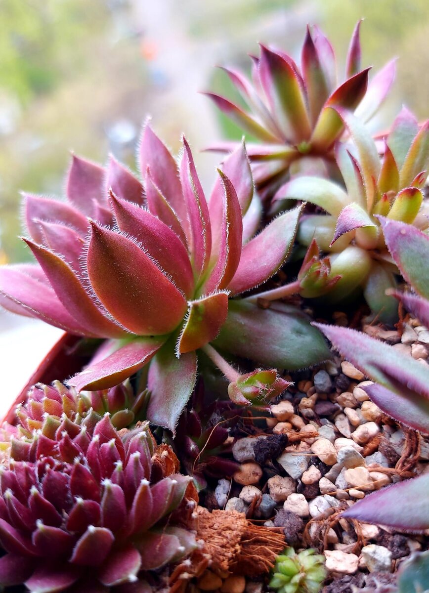 Детки на ниточках