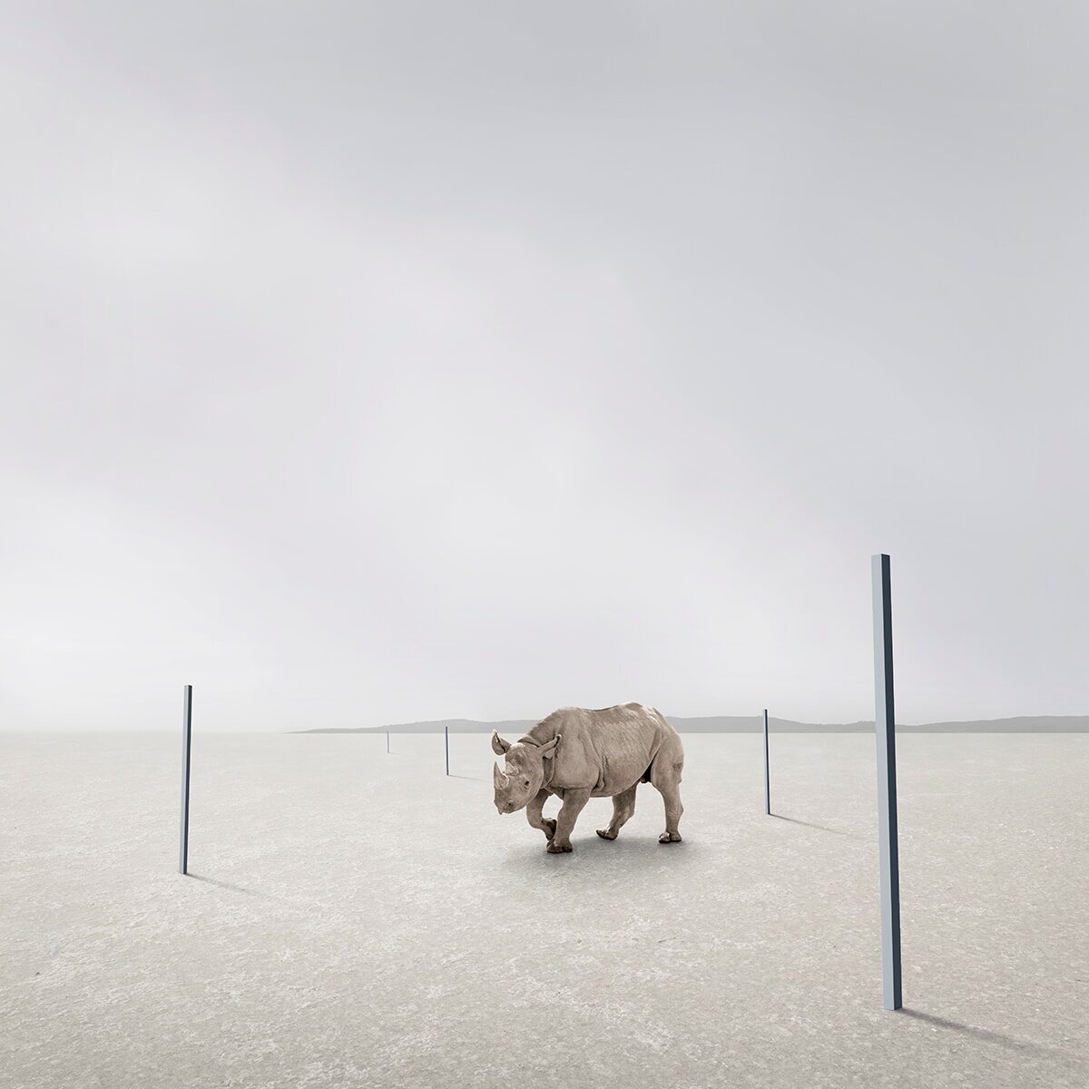    Фото: Allen Koppe, minimalistphotographyawards.com
