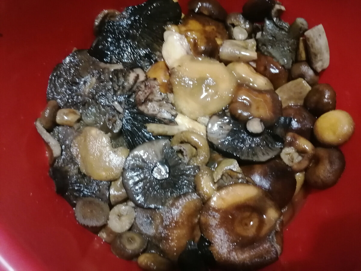 Посолила черные и желтые грузди, волнушки, рыжики и валуи