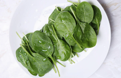 изображение: Freepik.com