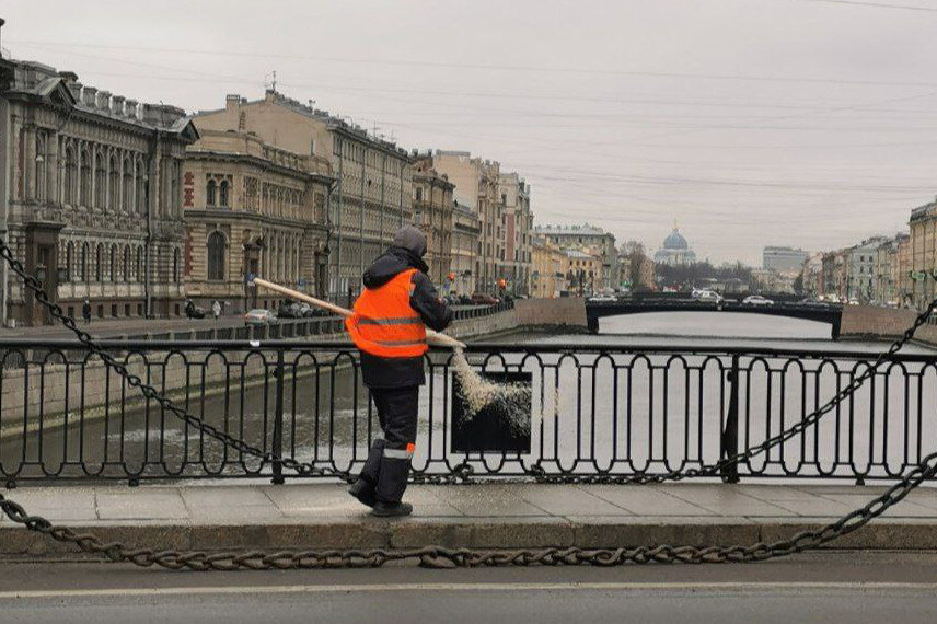   
 Фото: Ксения Потеева/«Фонтанка.ру»