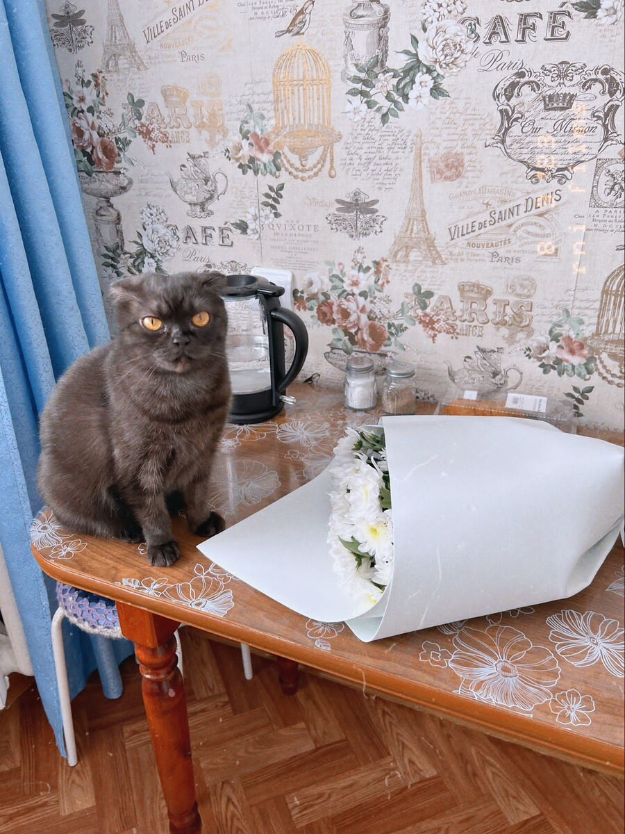 Я тебя запомнила 😉