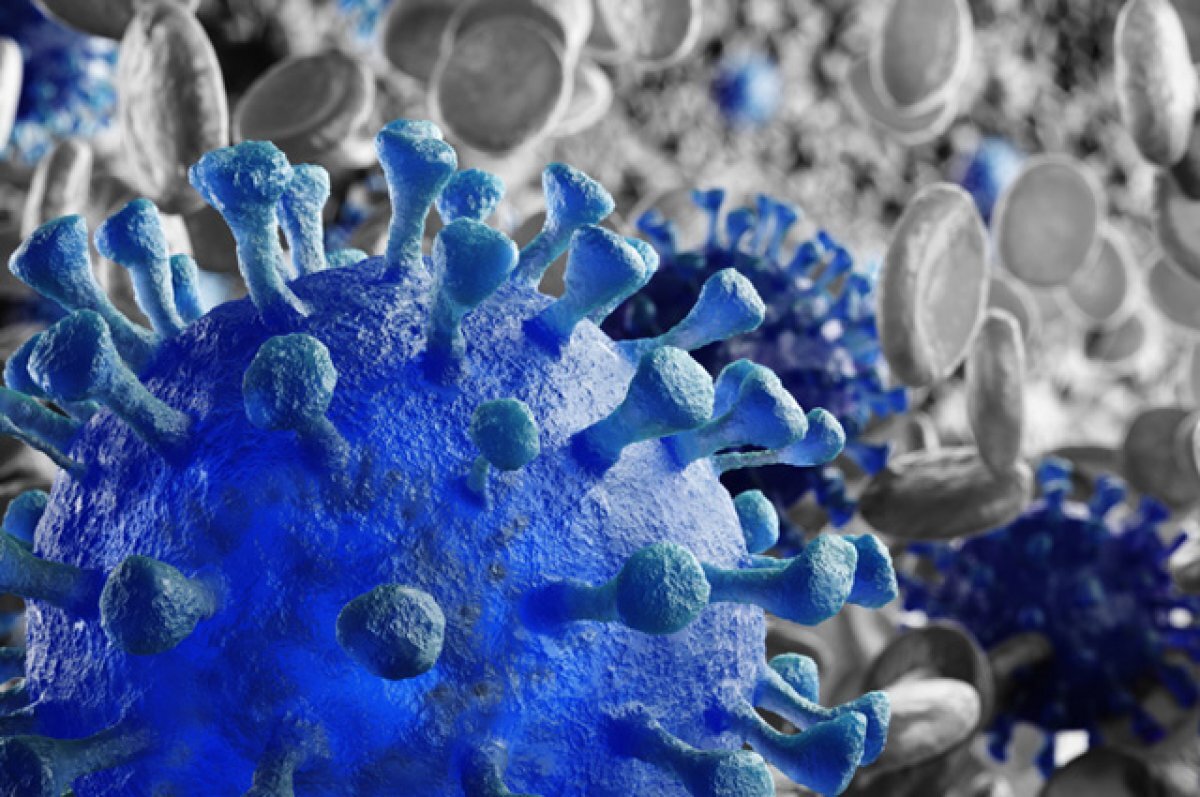    Внук «омикрона».